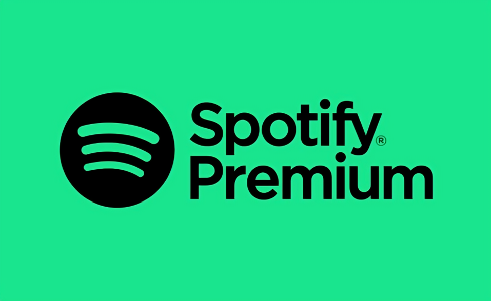 Spotify Premium Ad Free Music & Unlimited Skips Lifetime